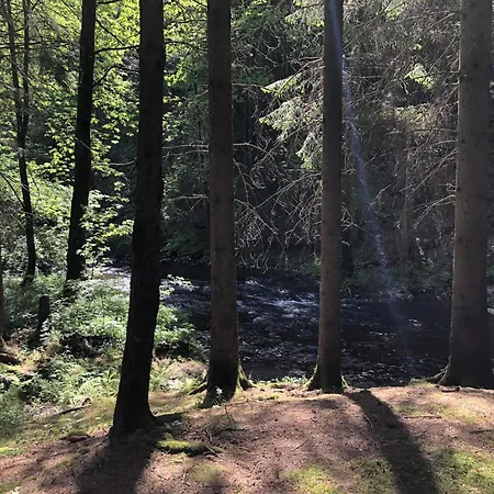 Ardennes With Riverside Garden And Views Semesterbostad *