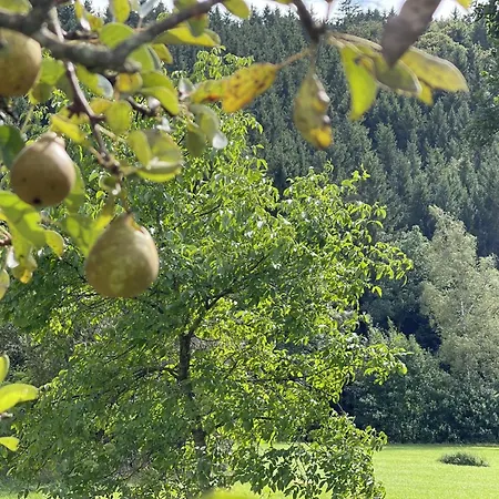 With Garden By The River And A View In Sankt Vith