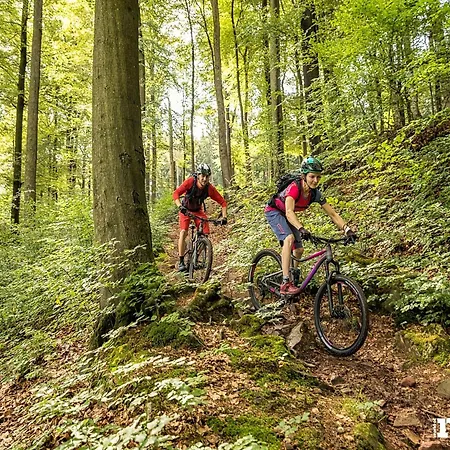 Ardennes With Riverside Garden And Views Semesterbostad *